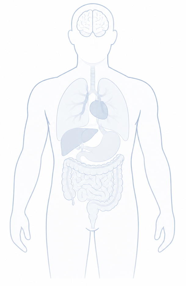 Human body map showing highlighted body-system research context